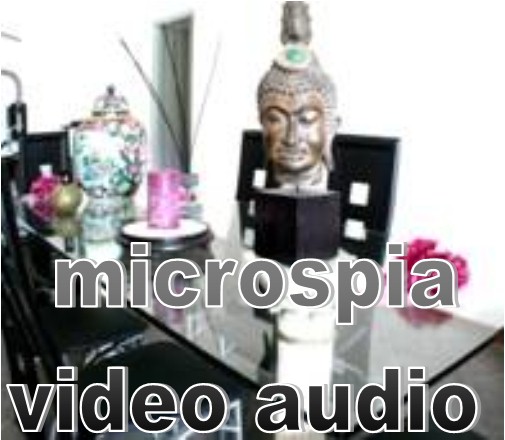 Microspie  video camere a distanza -Microspia